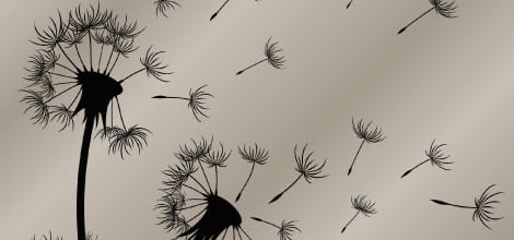 Advance decision to refuse antibiotic treatment image